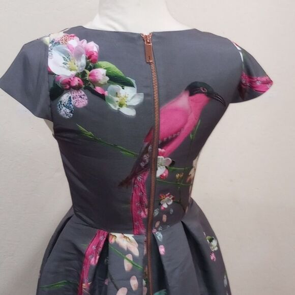 Ted Baker Zaldana Flight Of The Orient Dress -  Size 1 / USA Size 4 - Picture 10 of 14